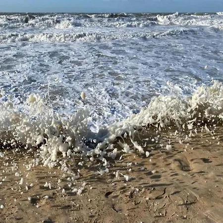 Lejlighed In Belgium Near The Coast